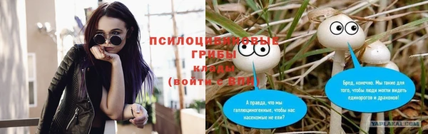 ГАЛЛЮЦИНОГЕННЫЕ ГРИБЫ Рославль
