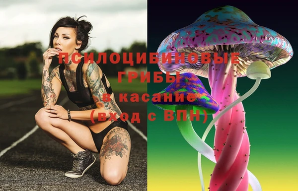 ГАЛЛЮЦИНОГЕННЫЕ ГРИБЫ Рославль