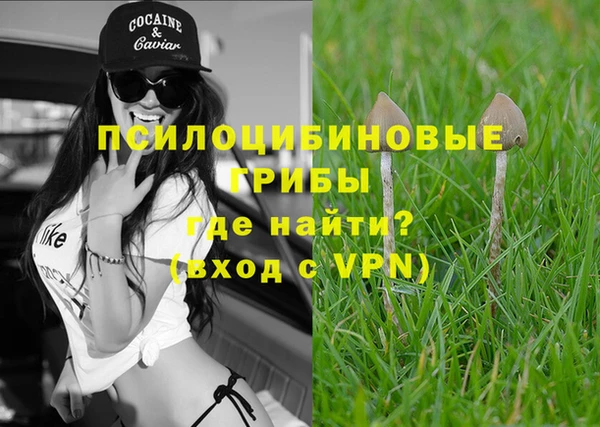 ГАЛЛЮЦИНОГЕННЫЕ ГРИБЫ Рославль