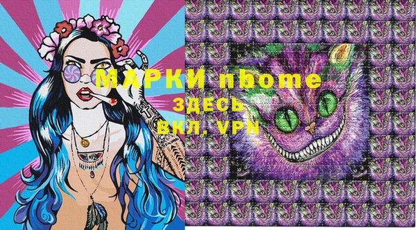стаф Баксан
