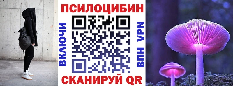 Галлюциногенные грибы MAGIC MUSHROOMS mega сайт Свирск купить закладку