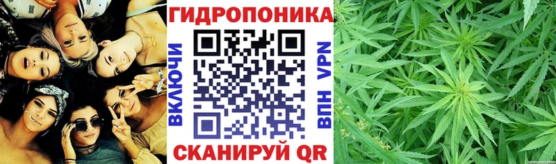 Каннабис семена  дарнет шоп  Свирск 